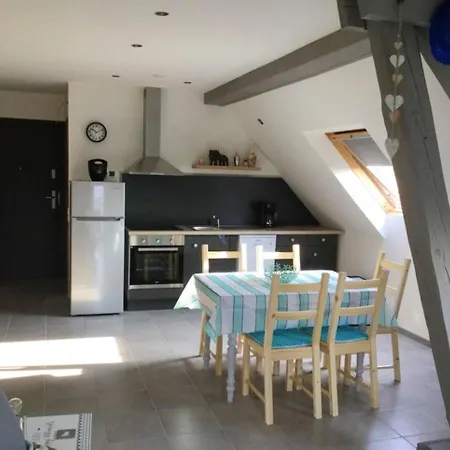 Spacieux Avec Terrasse Et Jardin A Lohr, 120 M². * Lohr