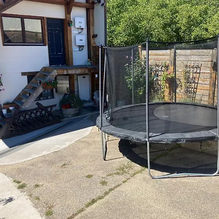 Spacieux Avec Terrasse Et Jardin A Lohr, 120 M². *