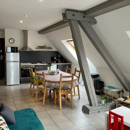 Spacieux Avec Terrasse Et Jardin A Lohr, 120 M². Lejlighed Lohr