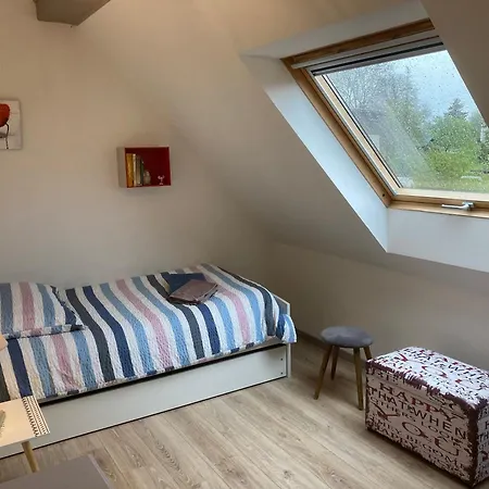 Spacieux Avec Terrasse Et Jardin A Lohr, 120 M². アパート *