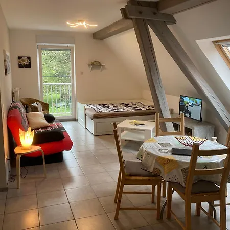Spacieux Avec Terrasse Et Jardin A Lohr, 120 M². * Lohr
